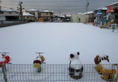 ♪長崎は今日も『雪だった』~！！