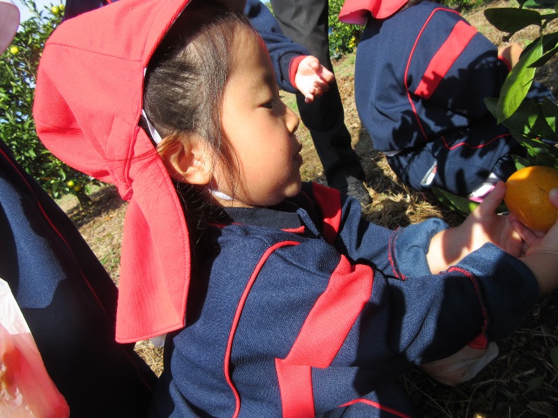 ファイル 368-2.jpg