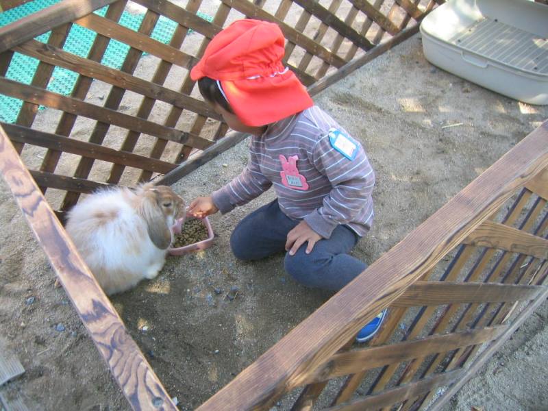 ファイル 369-5.jpg