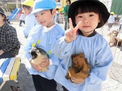 サンシティ聖母幼稚園　移動動物園