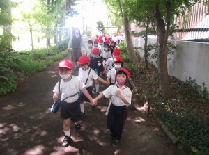 サンシティ聖母幼稚園　ゆり組　散歩